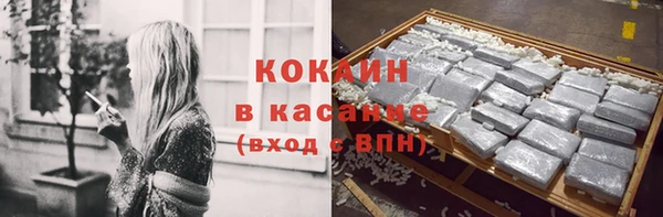 сатива Краснослободск