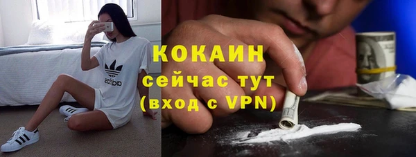 спайс Каменка